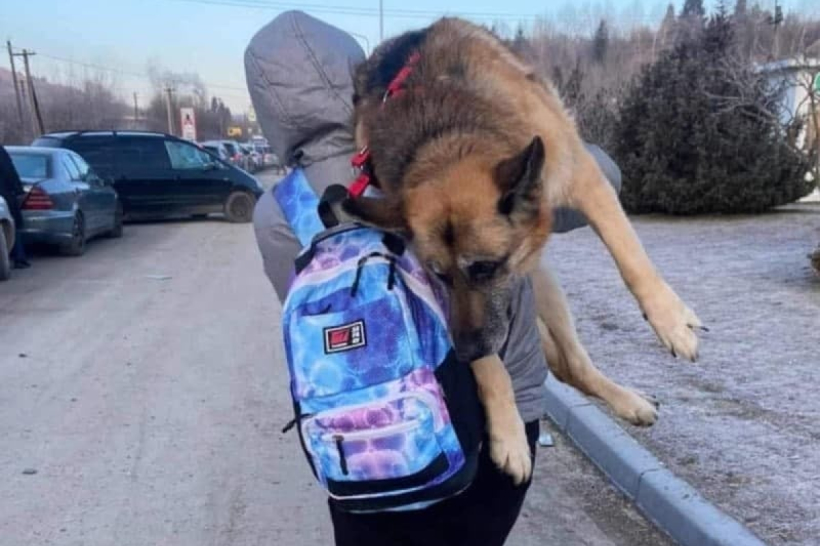 Пуля и ее хозяин