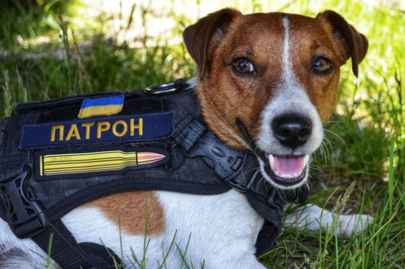 Патрон