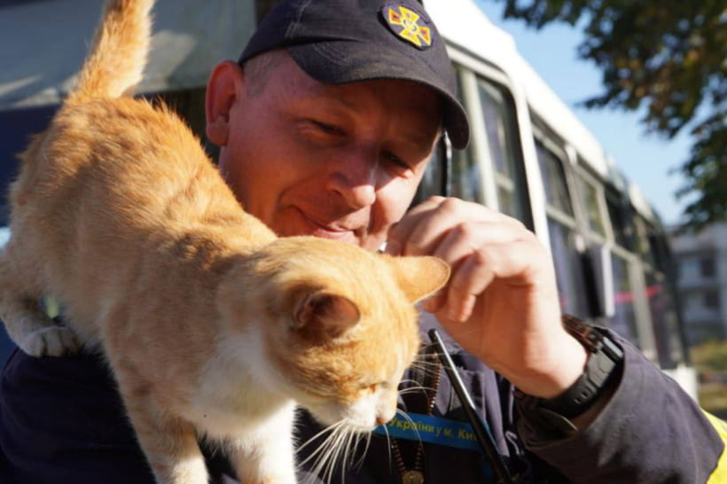 Рятувальник і котик
