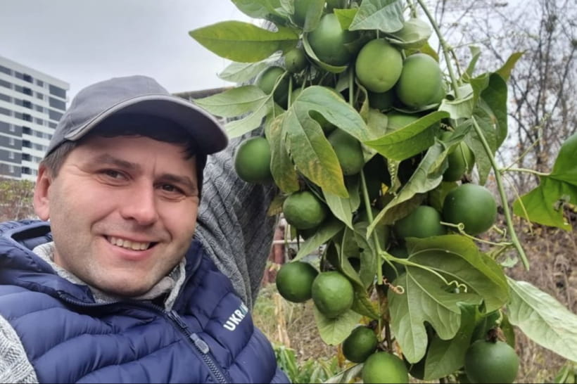 Маракуйя в Харькове