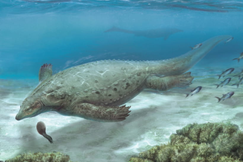 Prosaurosphargis yingzishanensis