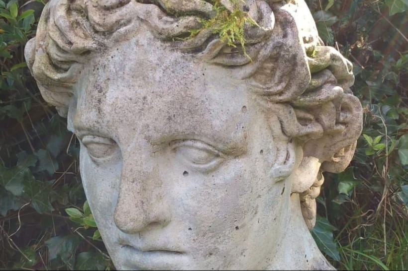 глава Аполлона