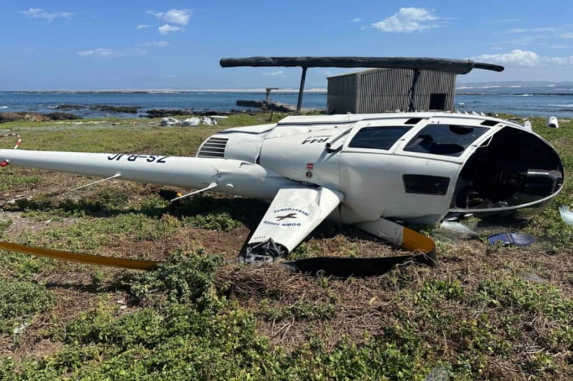 Пінгвін спричини авіакатастрофу 