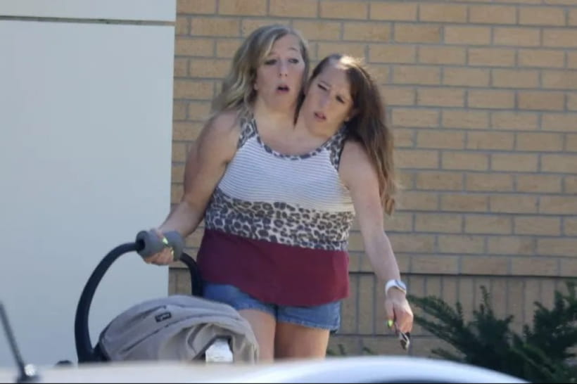 Еббі та Бріттані Гансел