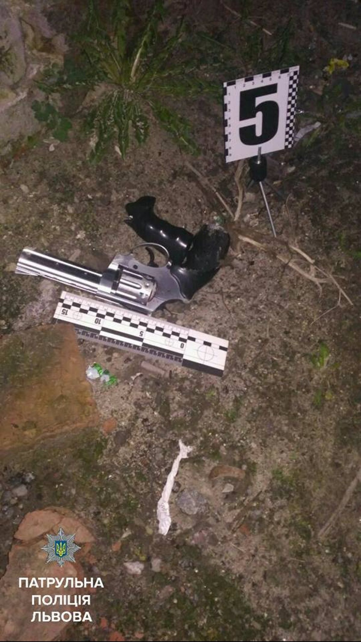 Стрілянина у Львові