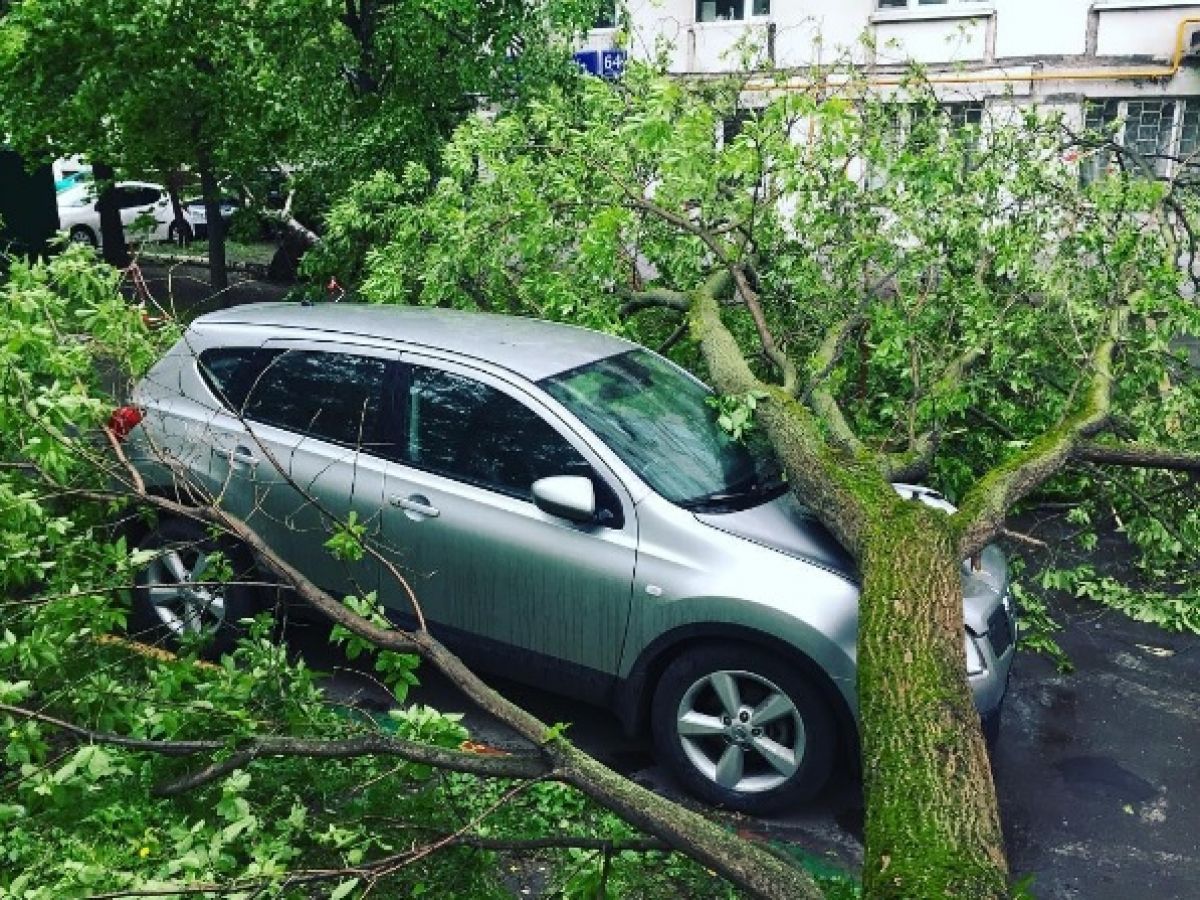 Ураган в Москві