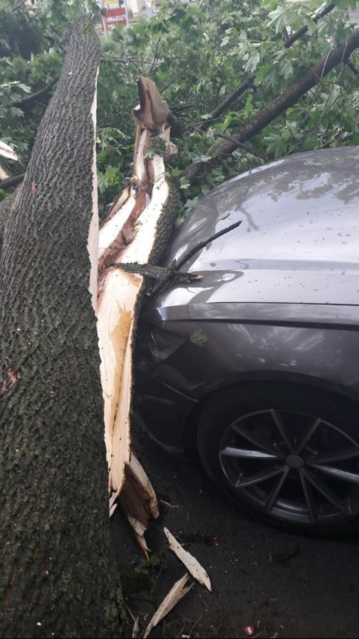 наслідки негоди у Львові