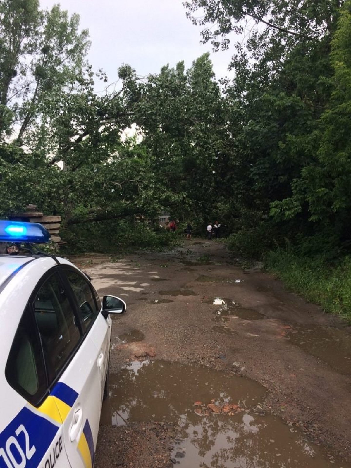 наслідки негоди у Львові