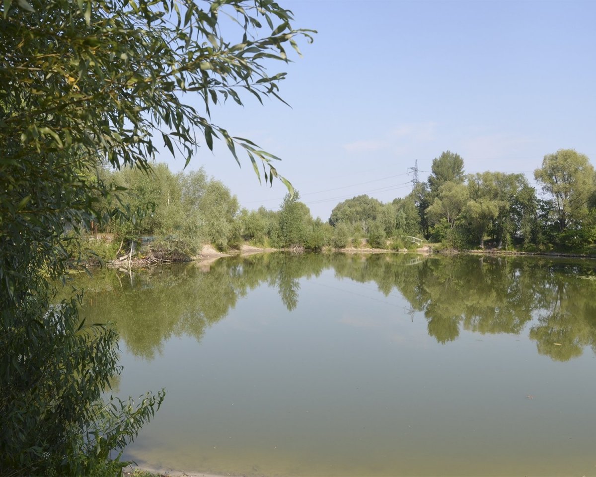 Еко-будинки