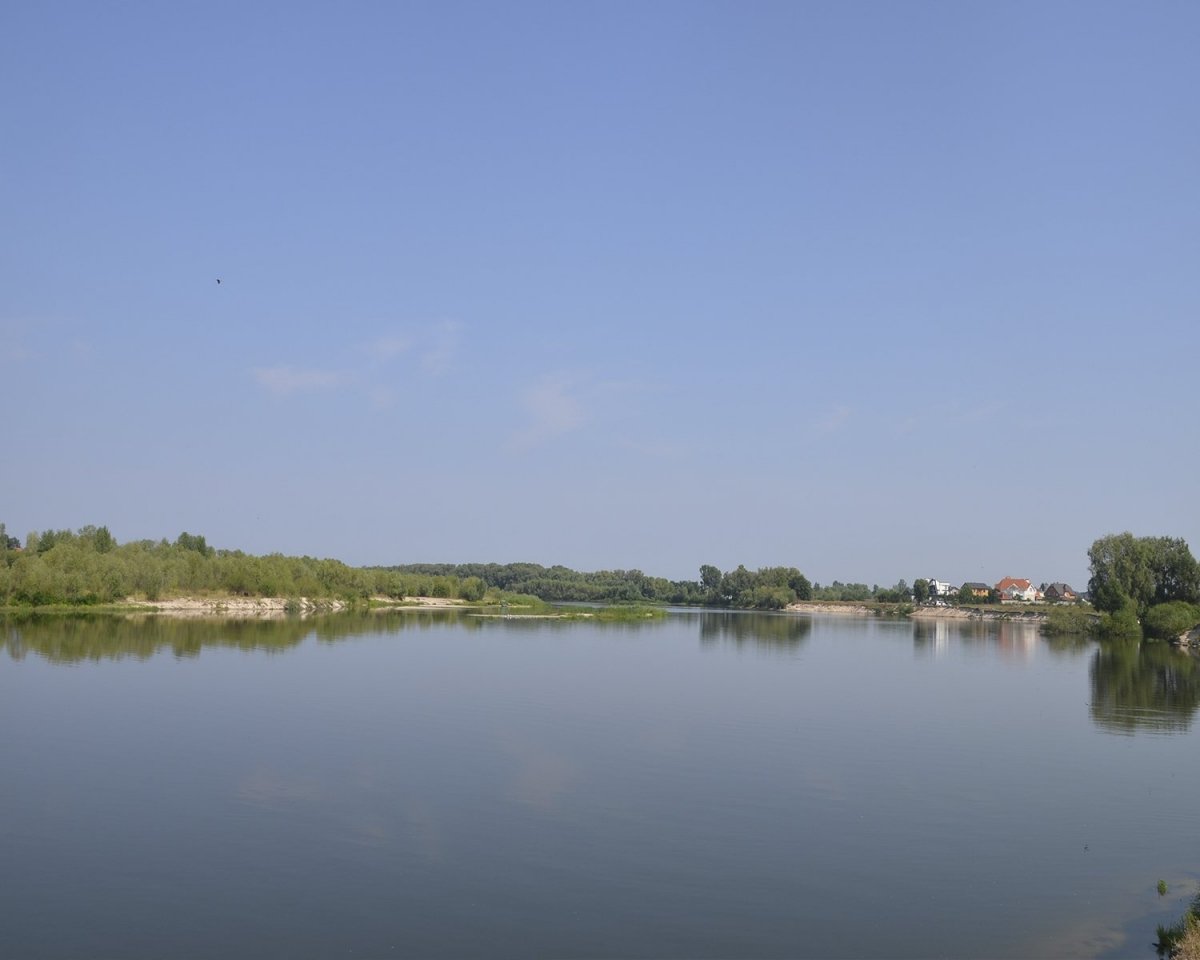 Еко-будинки