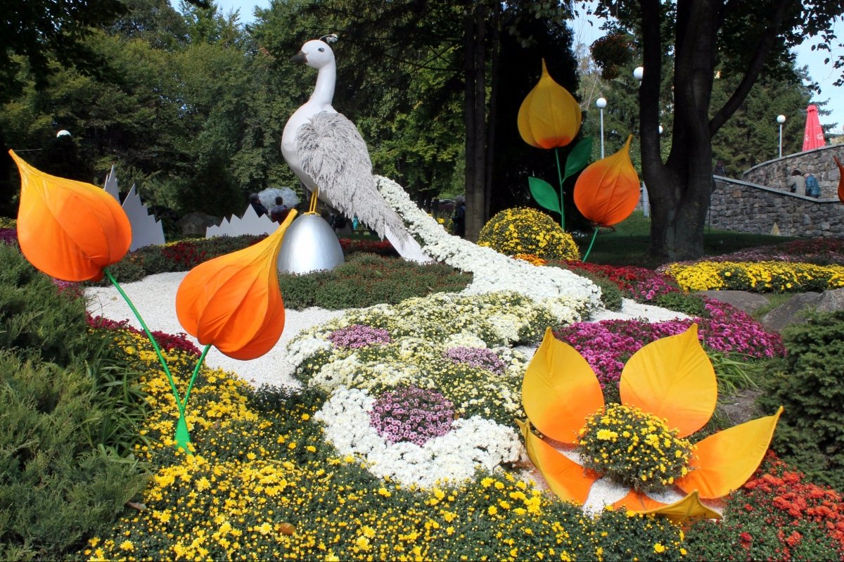 Виставка хризантем на Співочому полі