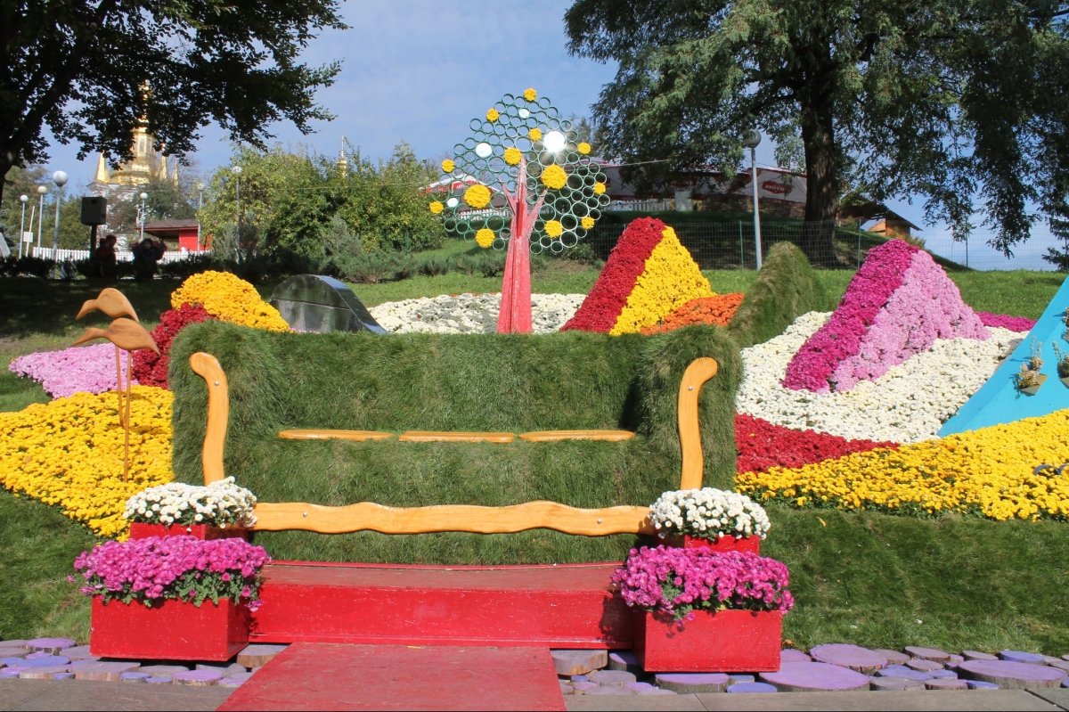 Виставка хризантем на Співочому полі