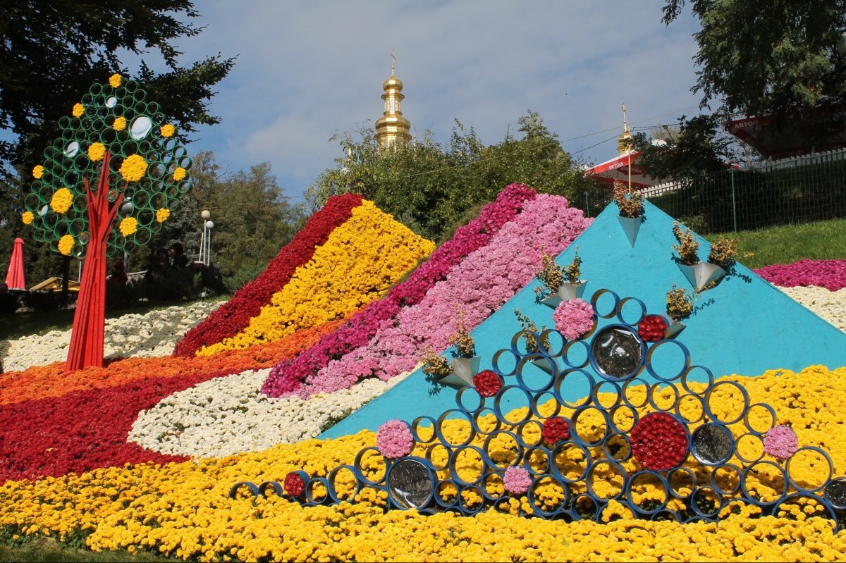 Виставка хризантем на Співочому полі
