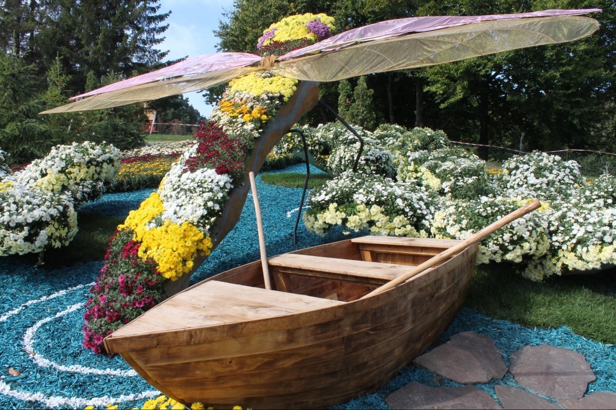 Виставка хризантем на Співочому полі