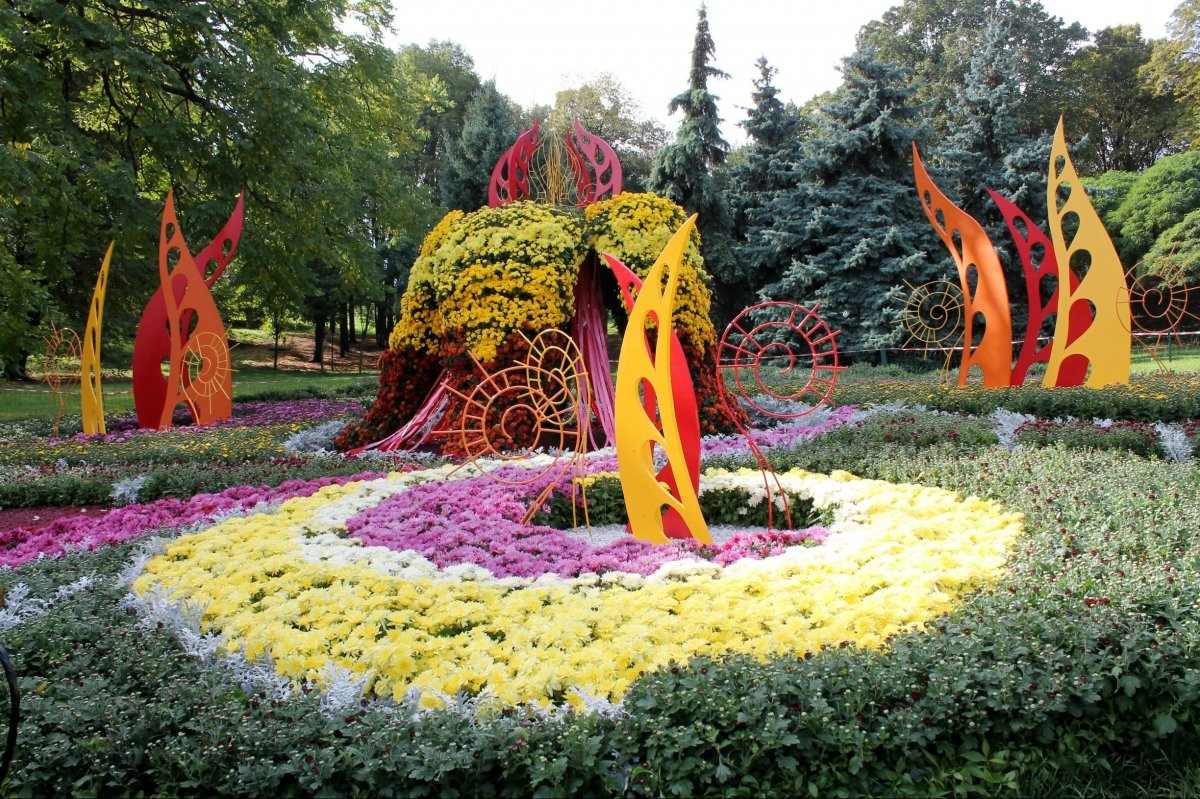 Виставка хризантем на Співочому полі