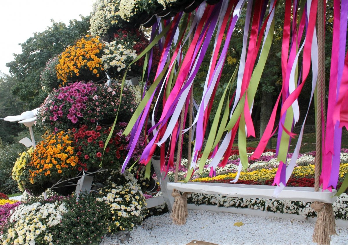 Виставка хризантем на Співочому полі