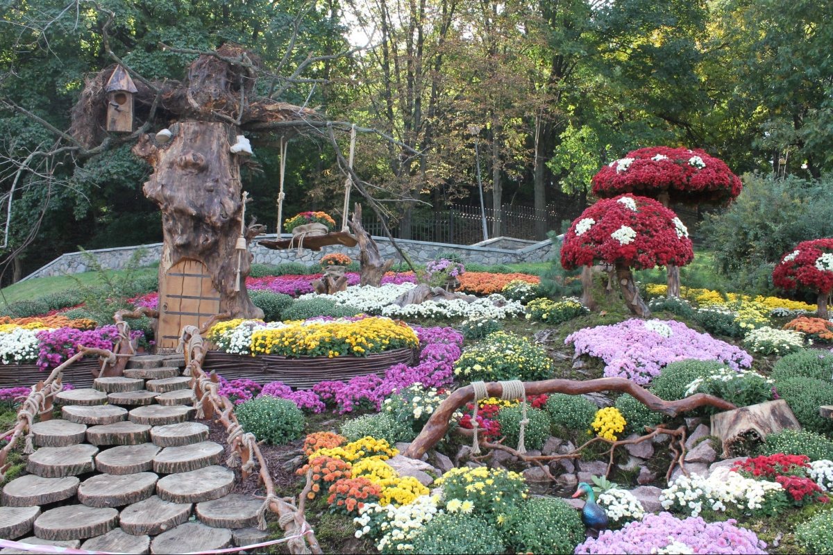 Виставка хризантем на Співочому полі