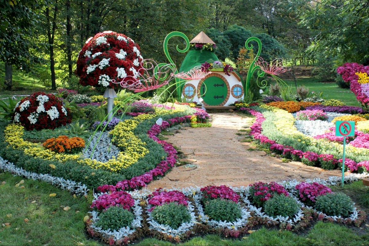 Виставка хризантем на Співочому полі