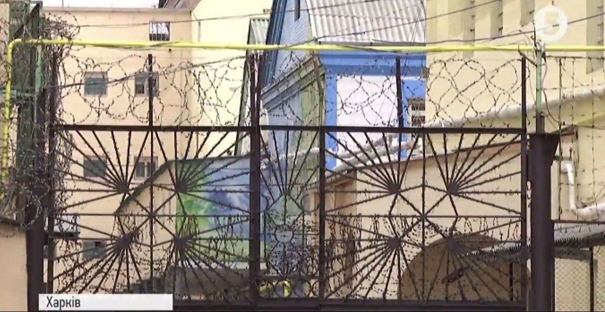 Камера, де утримують Олену Зайцеву