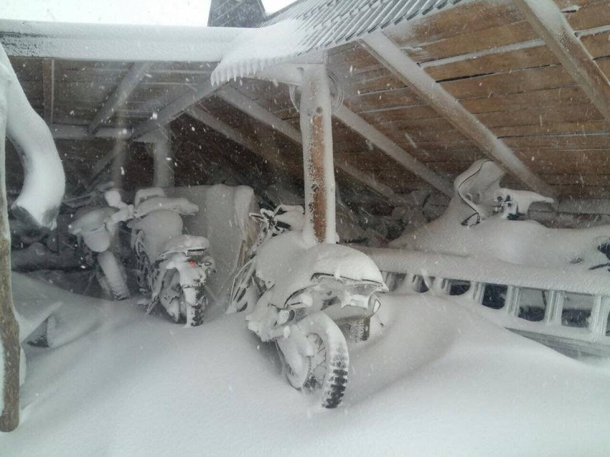 Карпати засипало снігом