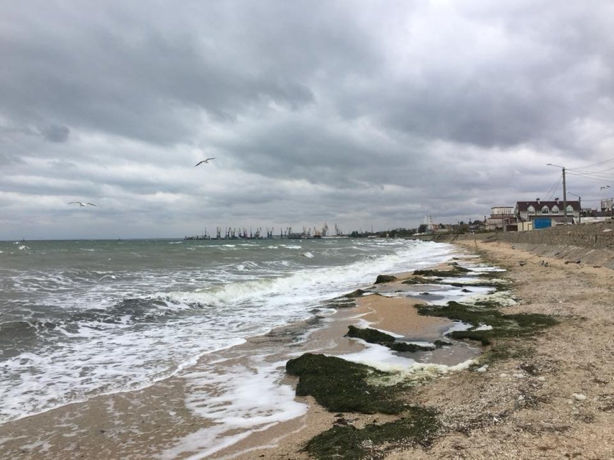 Бердянськ восени, море