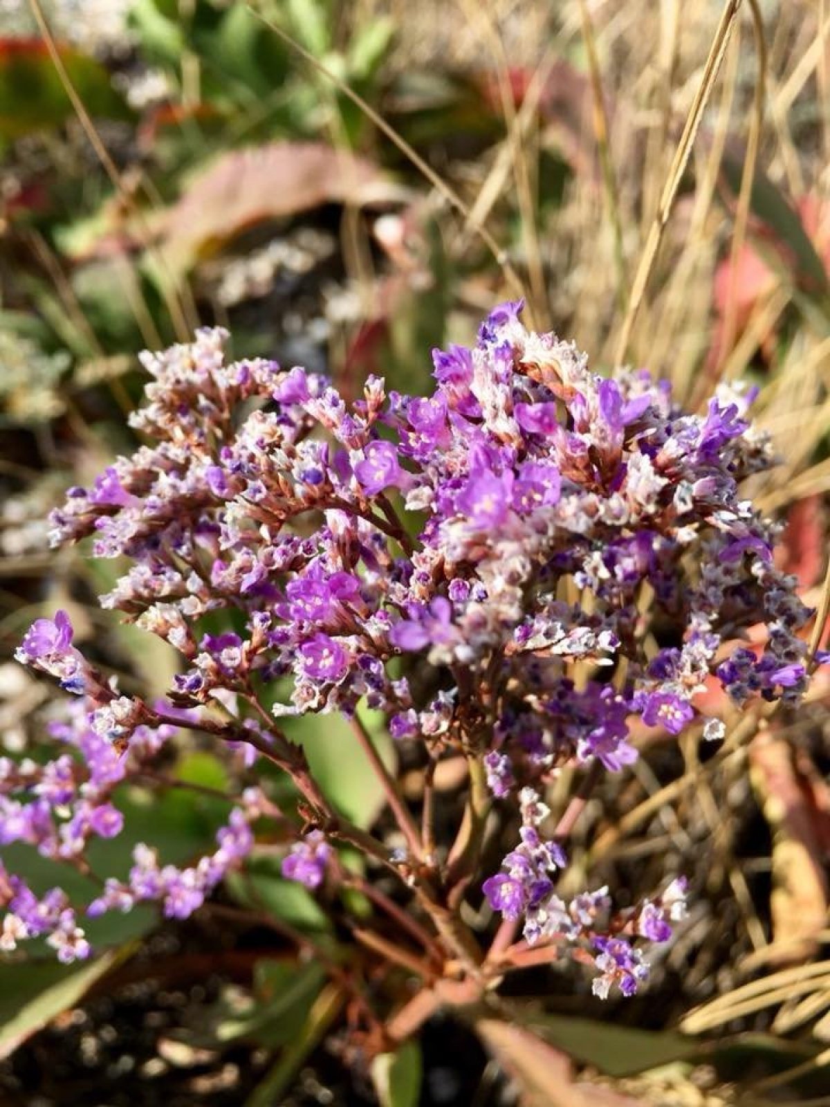 Бердянськ восени, море