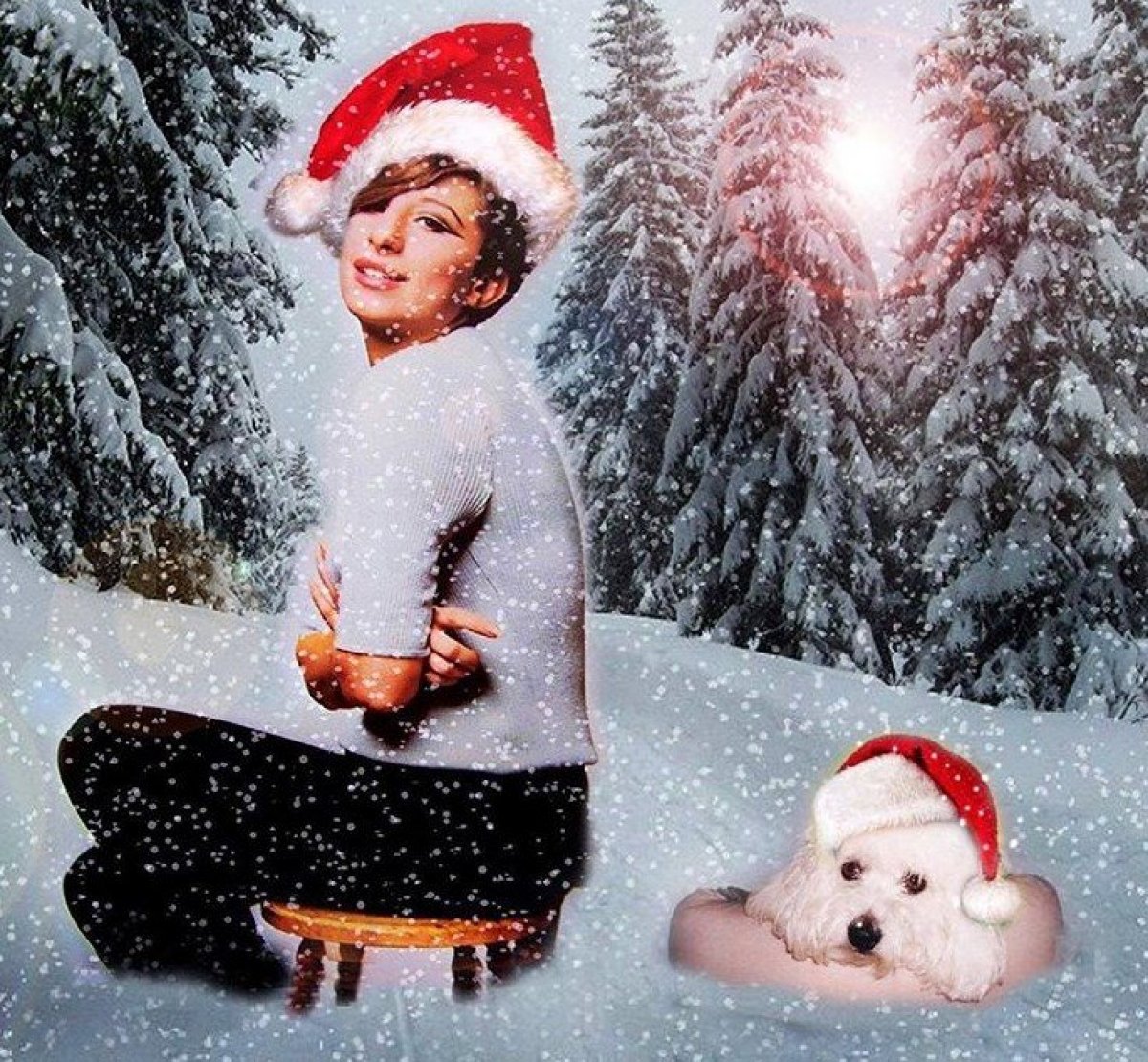 Барбара Стрейзанд