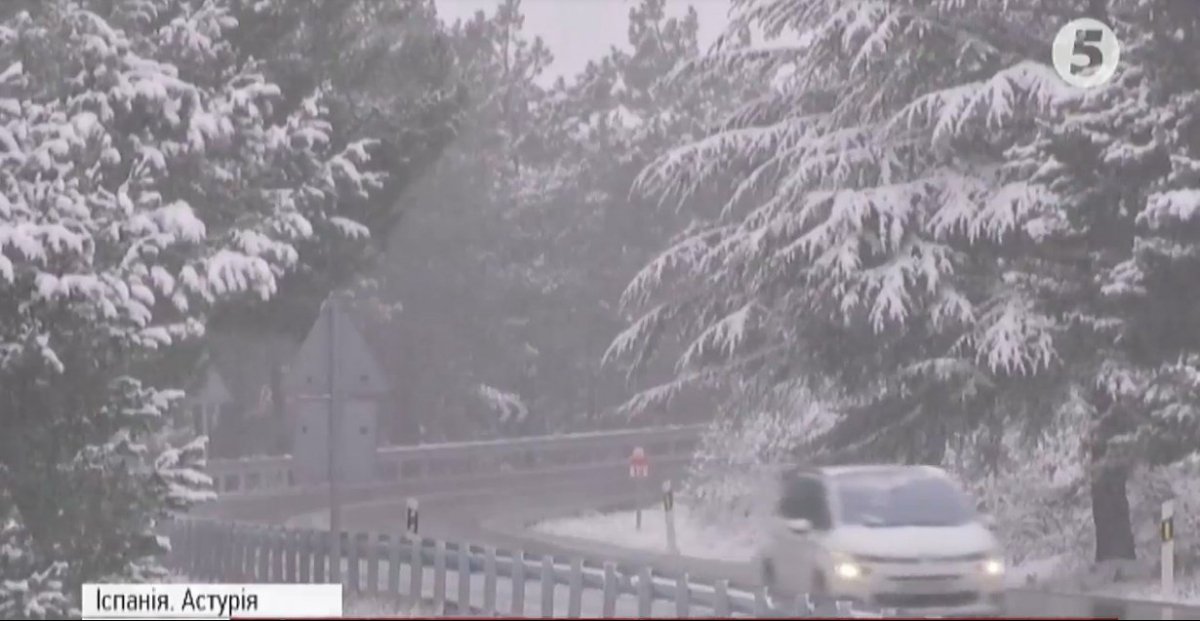 Сніг у світі