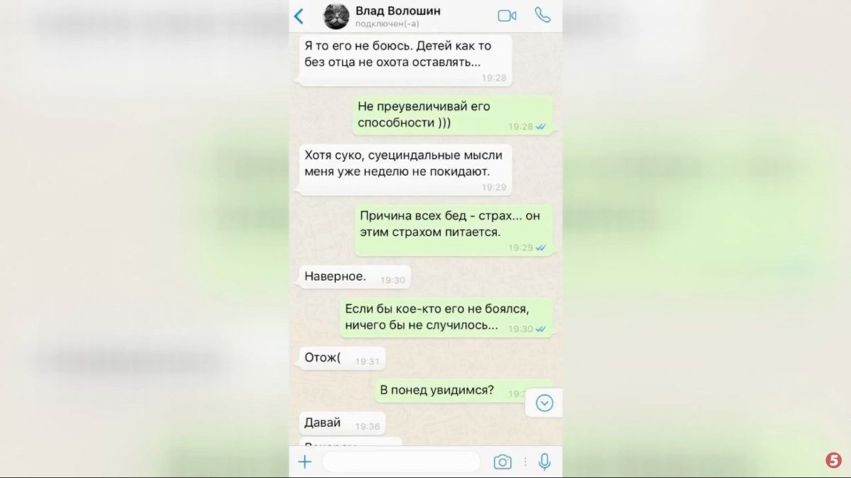 Владислав Волошин