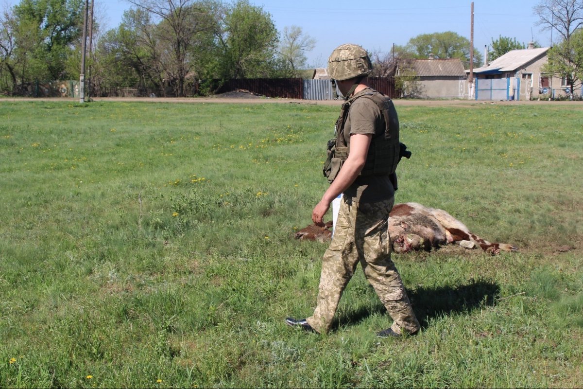 Обстріляне Троїцьке, артилерія