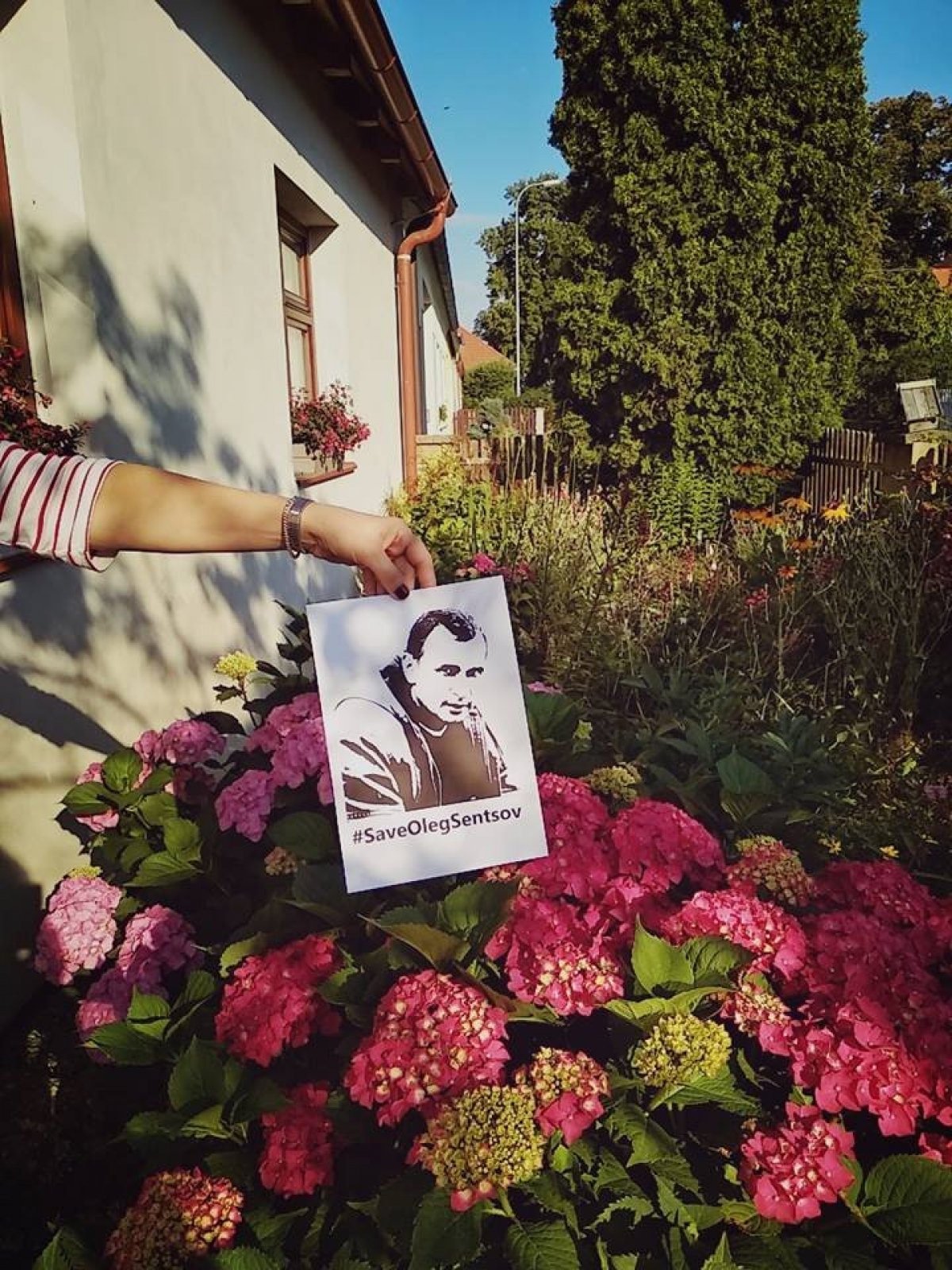 #SaveOlegSentsov, Греція 