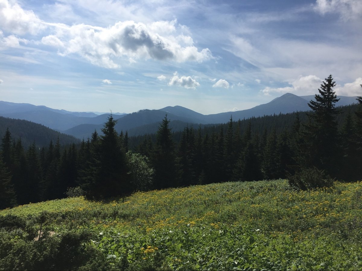Карпати