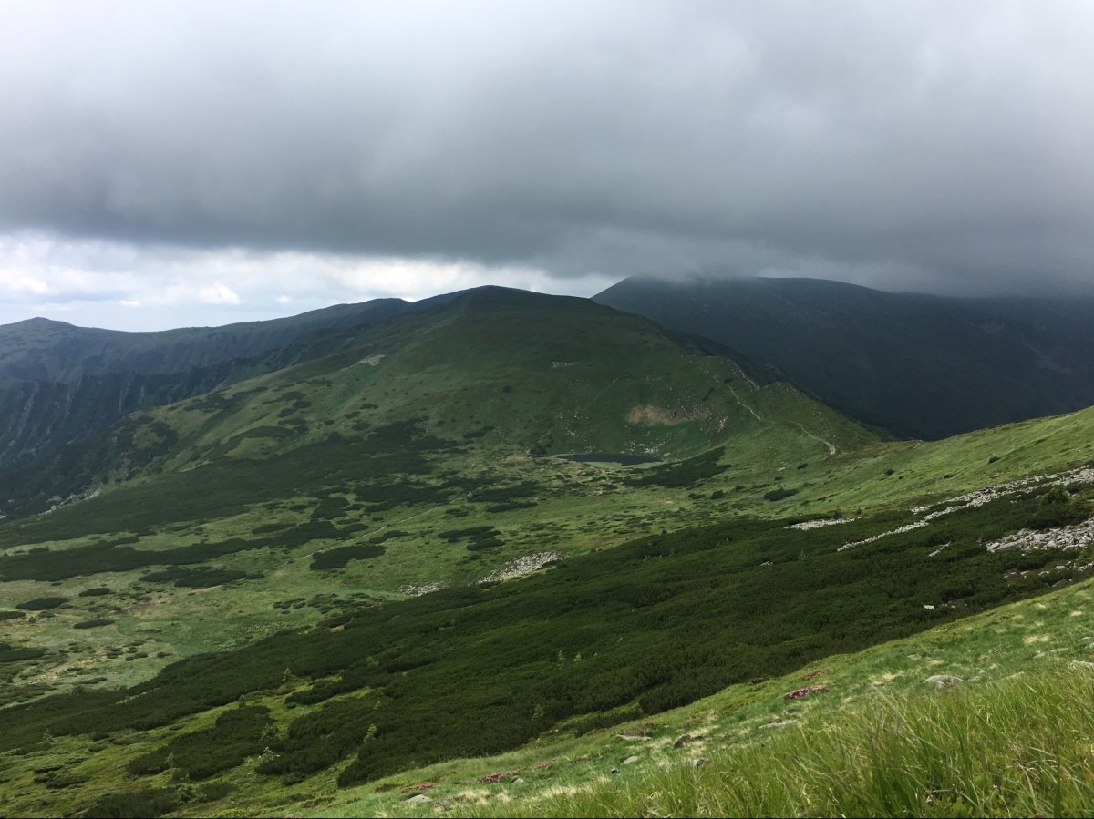 Карпати