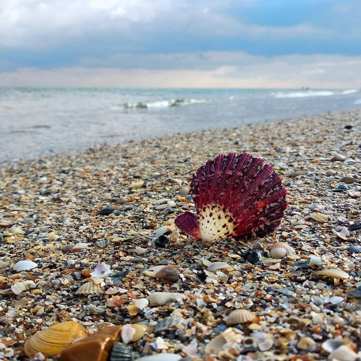 Кадри з морського узбережжя
