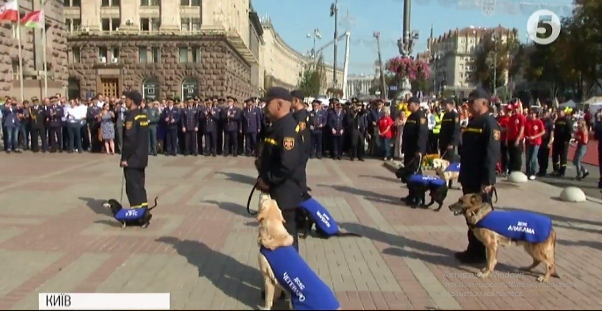День рятувальника, урочистості