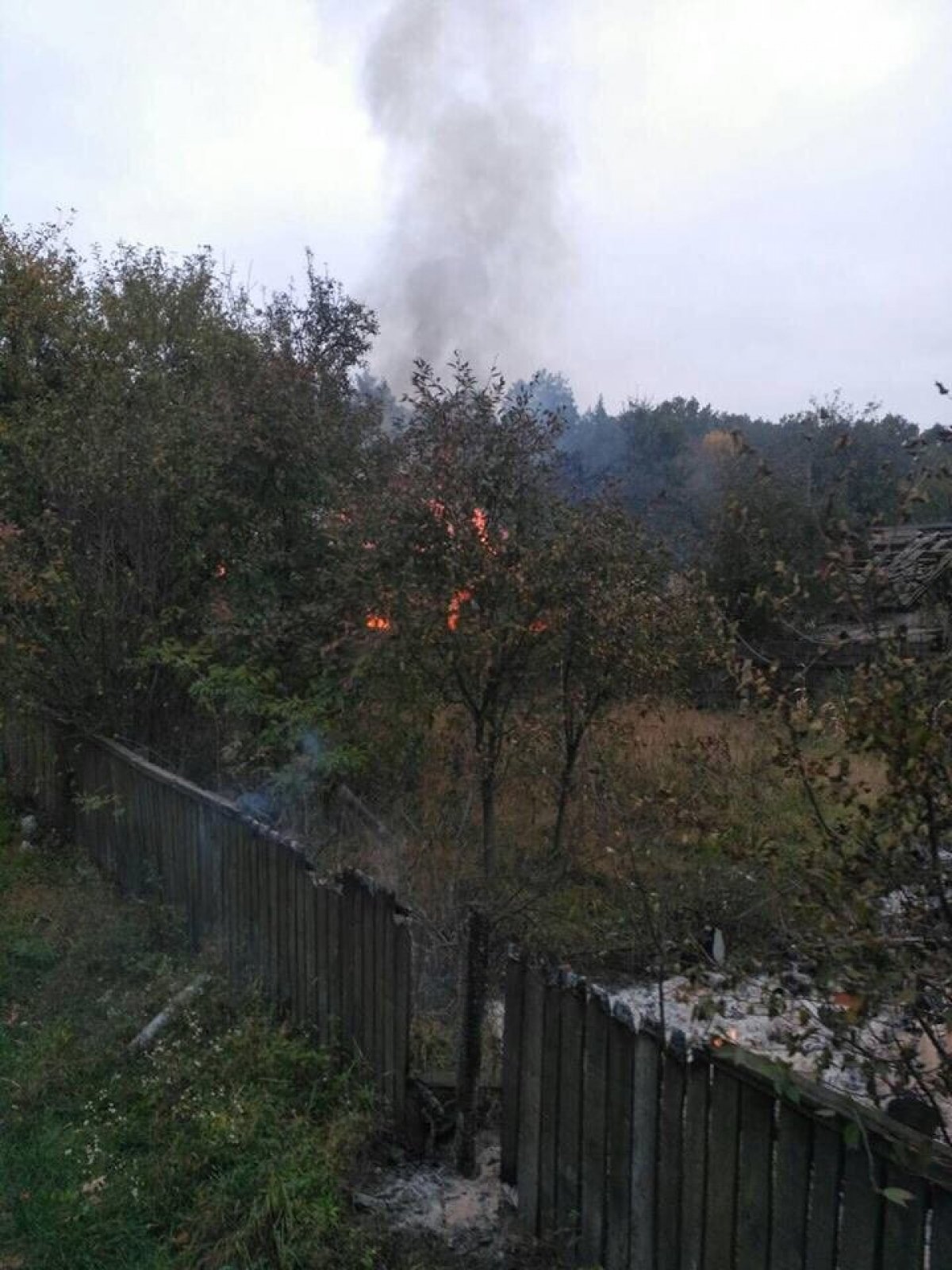 Околиці Ічні