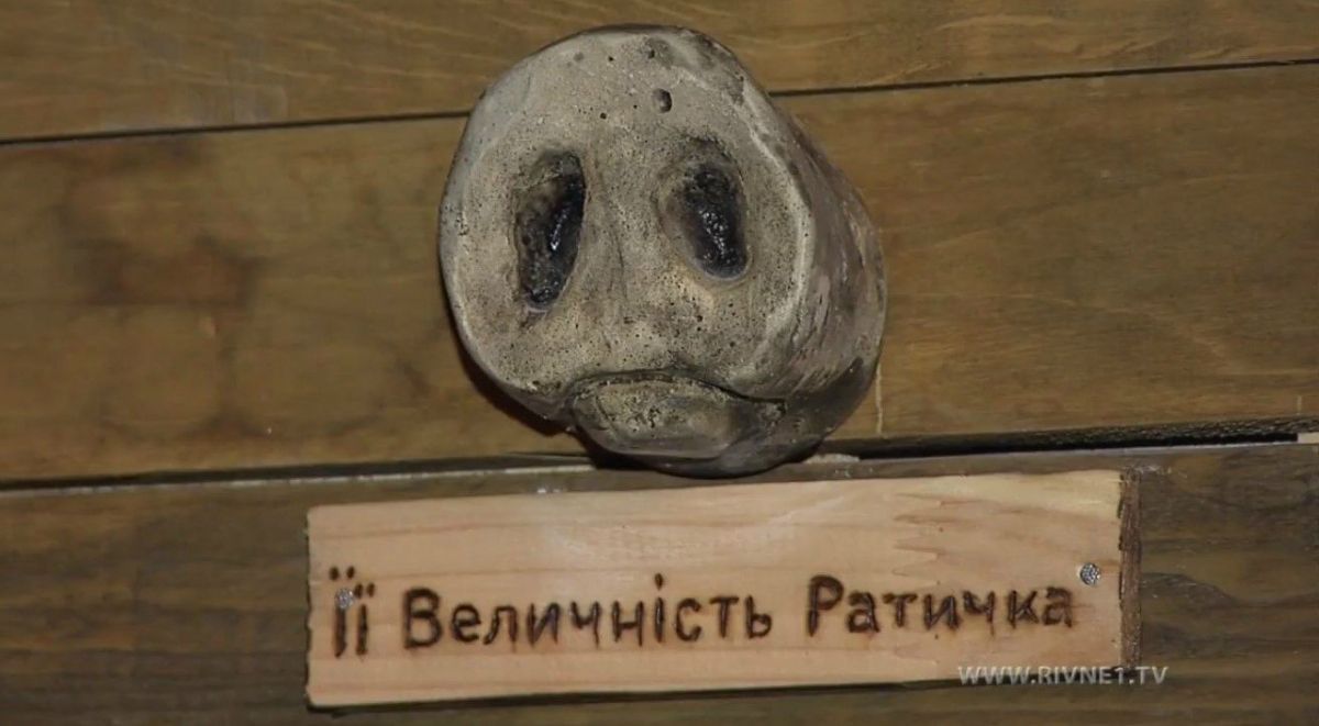Сюжет про свиней