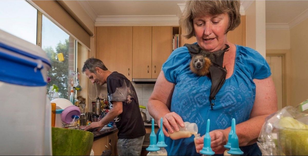 Фотографії National Geographic