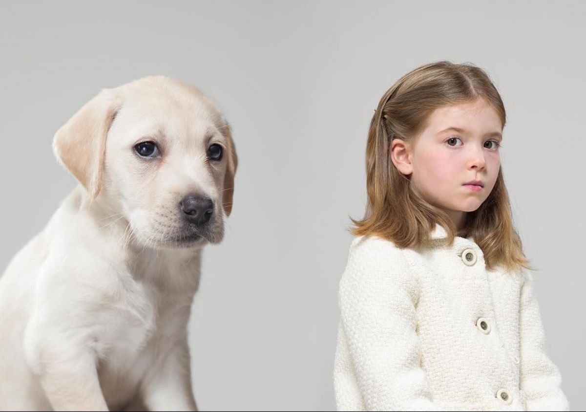 Собака та його господар