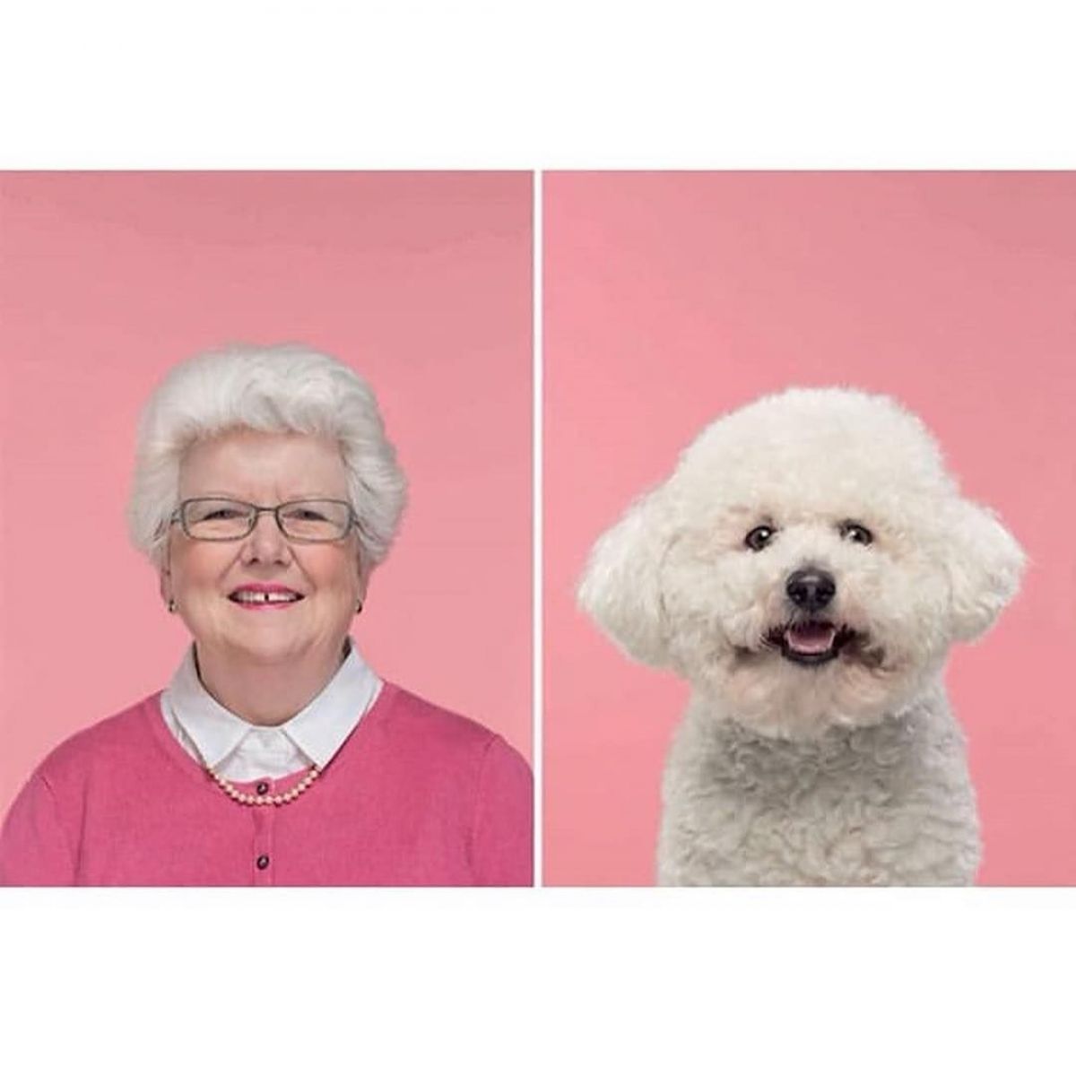 Собака та його господар