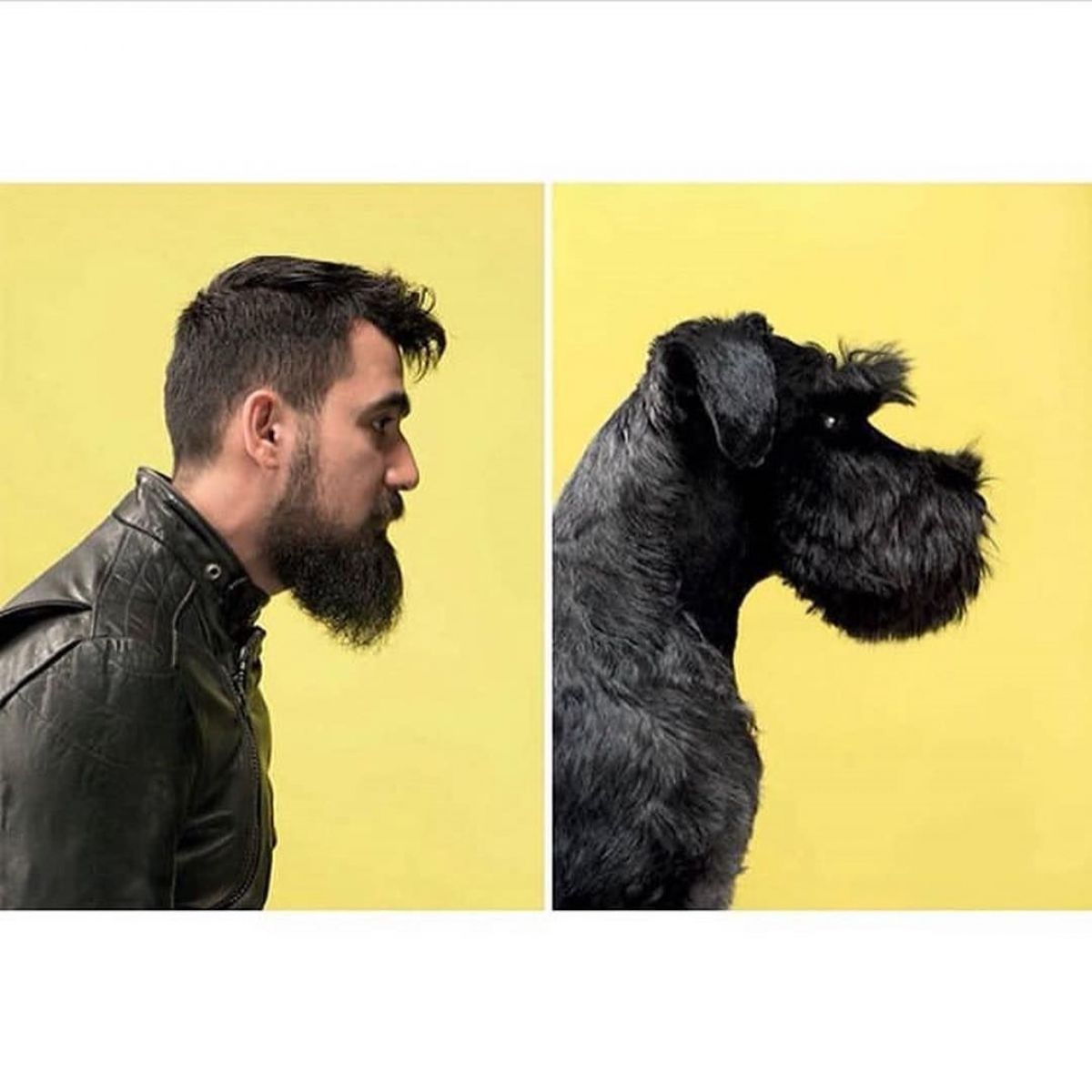 Собака та його господар