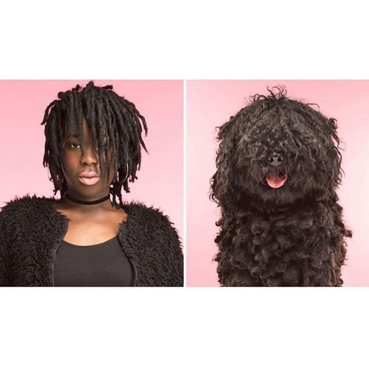 Собака та його господар