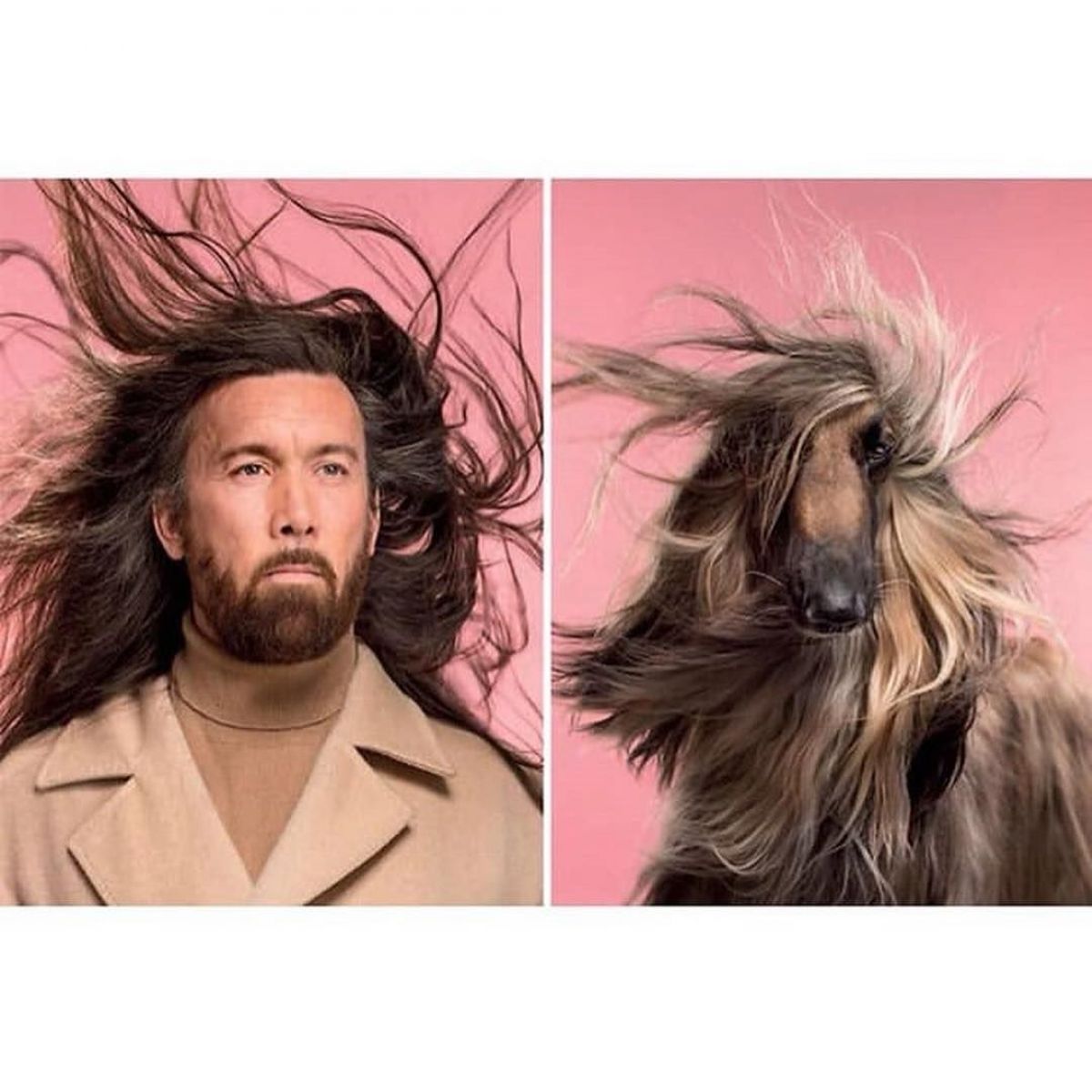 Собака та його господар