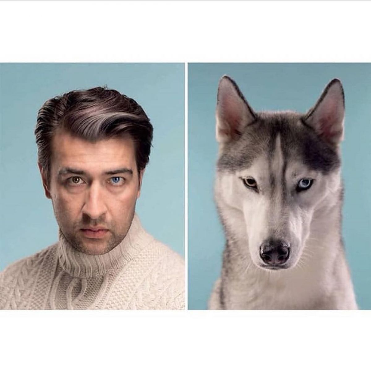 Собака та його господар