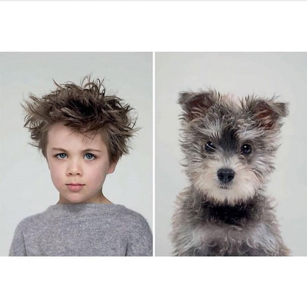 Собака та його господар