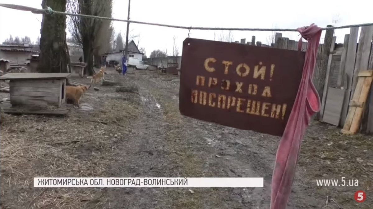 Притулок для собак "Оберіг"
