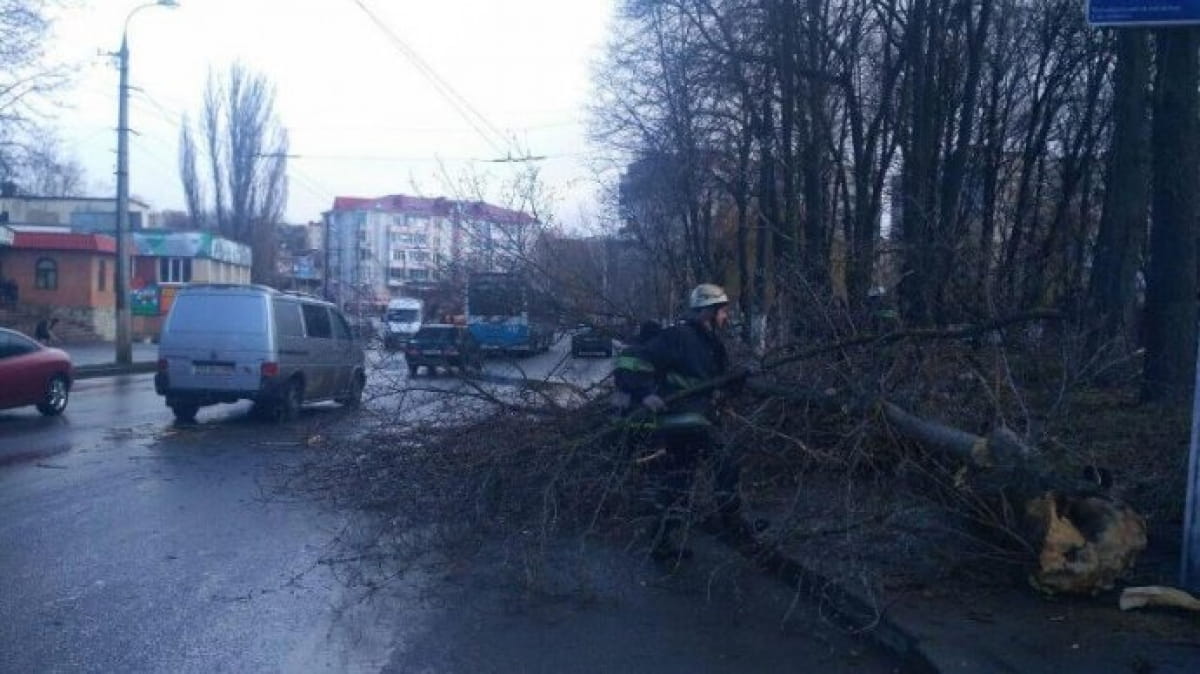 В Виннице погибла 11-летняя девочка