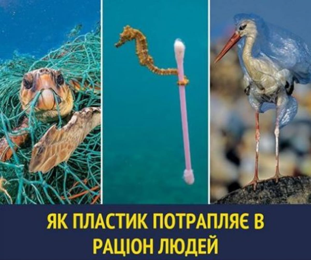 Скрины Супрун
