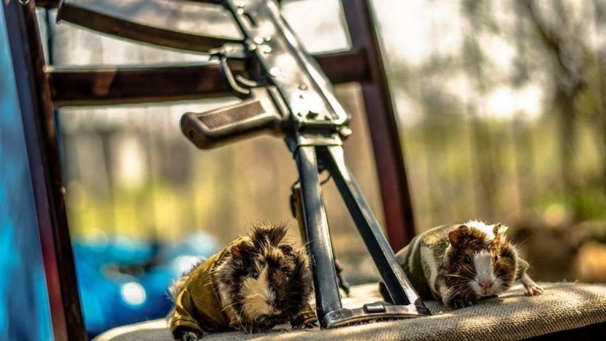 Тварини на передовій