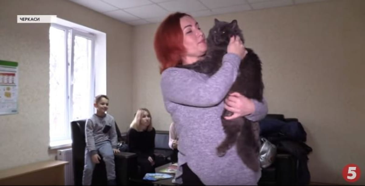 Обнимать котов можно в ветклинике в Черкассах